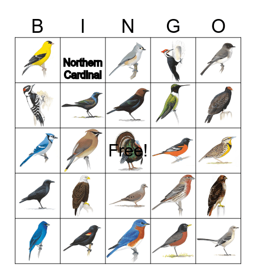 Bird Bingo Card