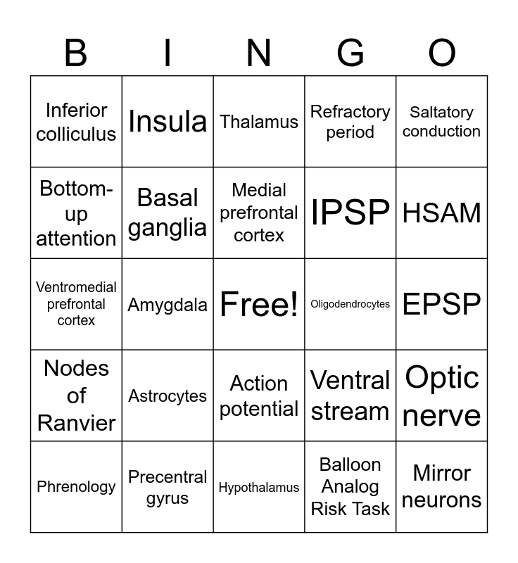 Final Review Bingo Card