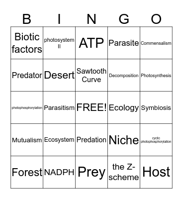 Photosynthesis Bingo Card