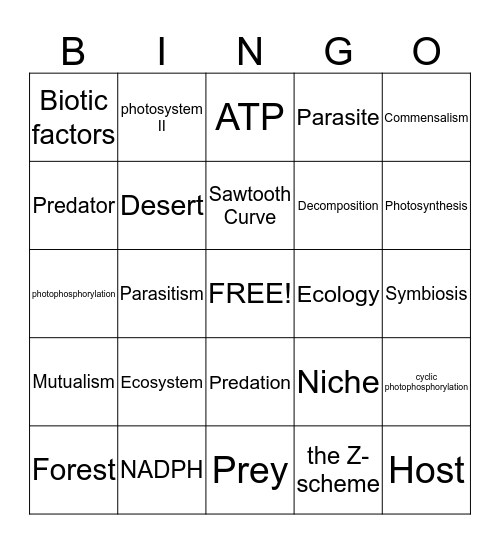 Photosynthesis Bingo Card