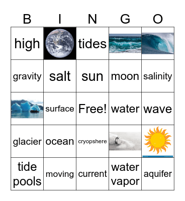 Science: Chapter 5 Bingo Card