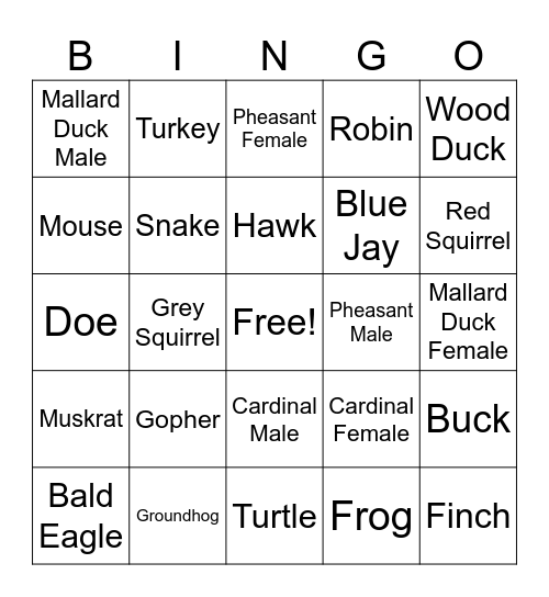Operations Window Bingo Card