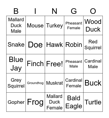 Operations Window Bingo Card