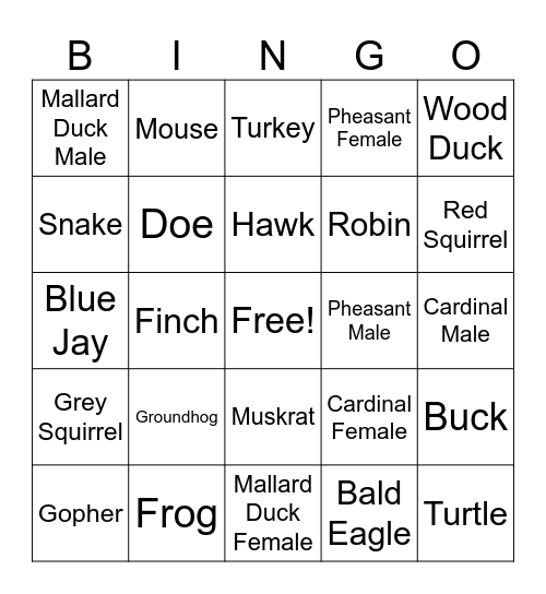 Operations Window Bingo Card