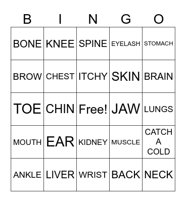 Body parts -8 Bingo Card