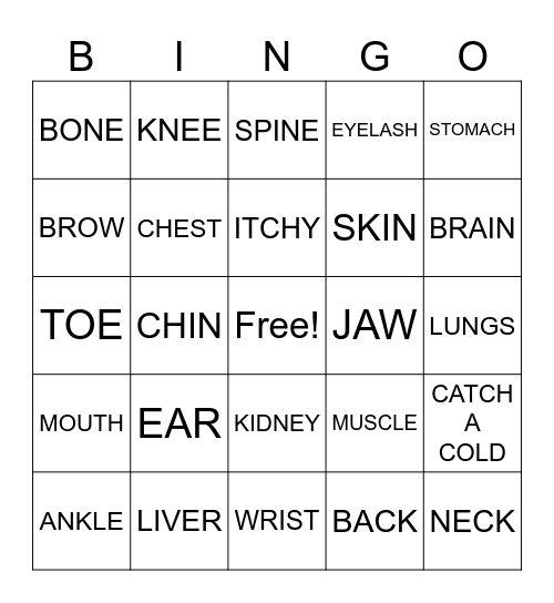 Body parts -8 Bingo Card