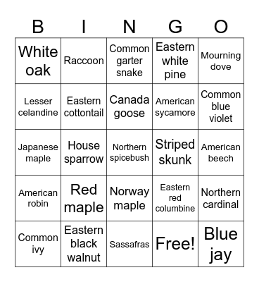 Local Flora & Fauna Bingo Card
