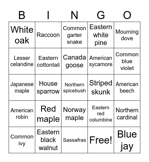 Local Flora & Fauna Bingo Card