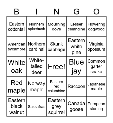 Local Flora & Fauna Bingo Card