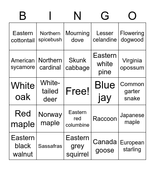 Local Flora & Fauna Bingo Card