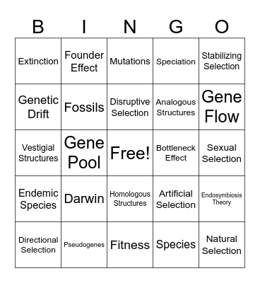 Evolution Review Bingo Card
