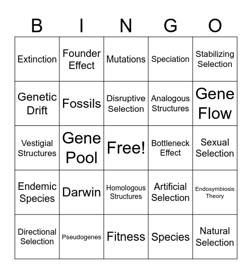 Evolution Review Bingo Card