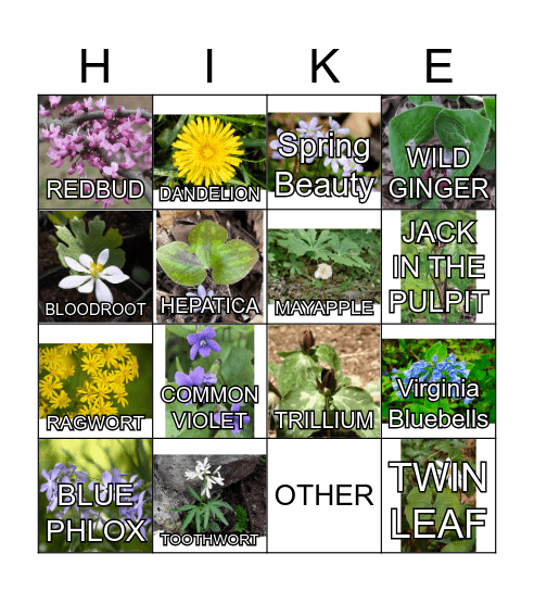 Wildflower Hike Bingo Card