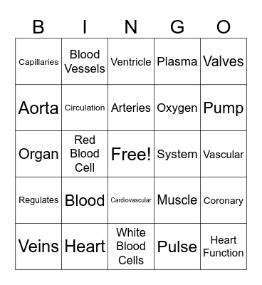Cardiovascular System Bingo Card
