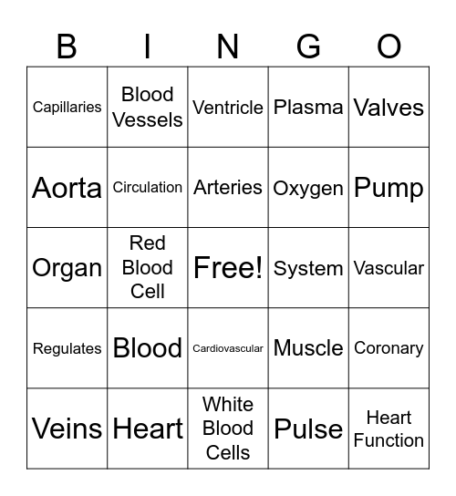 Cardiovascular System Bingo Card