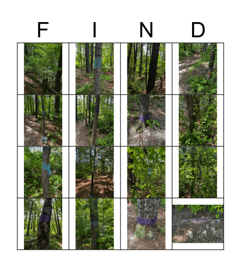 Horse and Buddy Plant Bingo Card