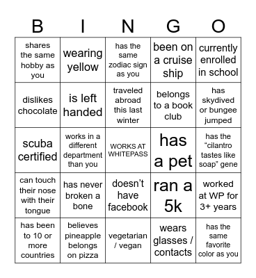 Ice Breaker Bingo Card