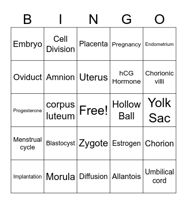 Blastocyst Bingo Card