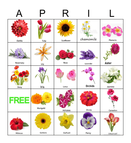 FLOWERS Bingo Card