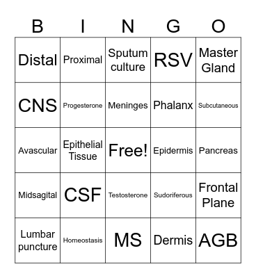 Chapter 5 Bingo Card