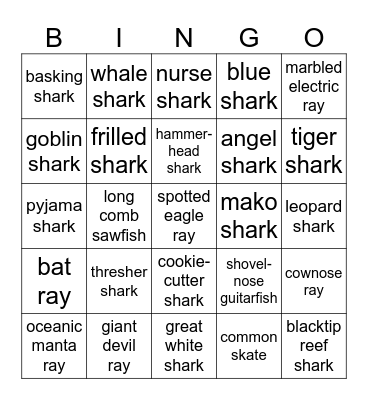 Chondrichthyes Bingo Card
