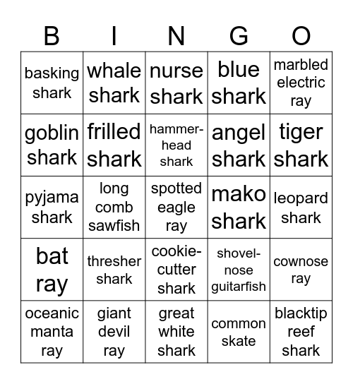 Chondrichthyes Bingo Card