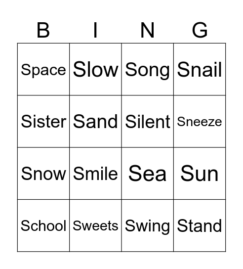 'S' words Bingo Card