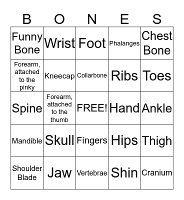 THE HUMAN BONES Bingo Card