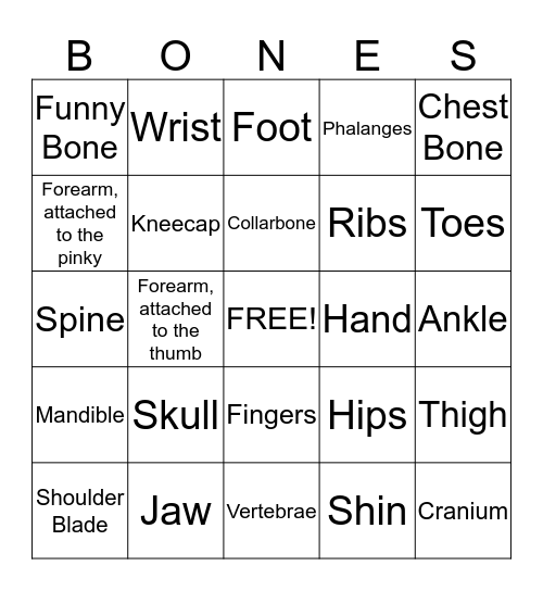 THE HUMAN BONES Bingo Card