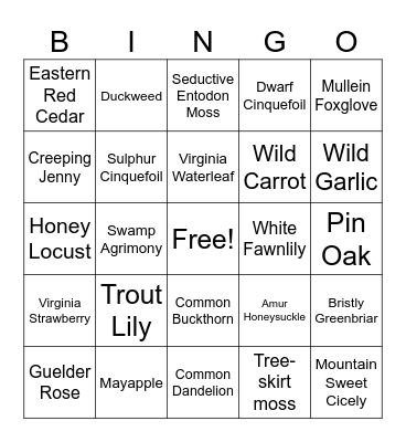 Penta Biodiversity Hunt Bingo Card