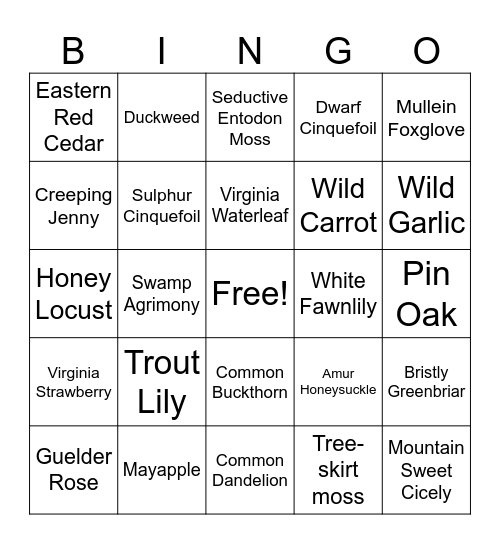 Penta Biodiversity Hunt Bingo Card
