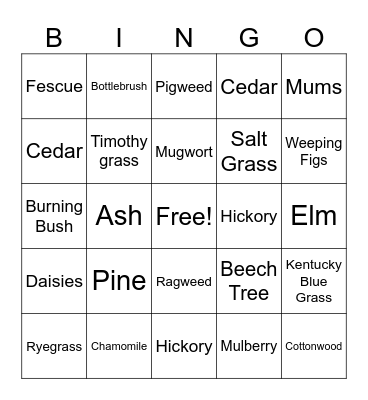 Allergy Season Bingo Card