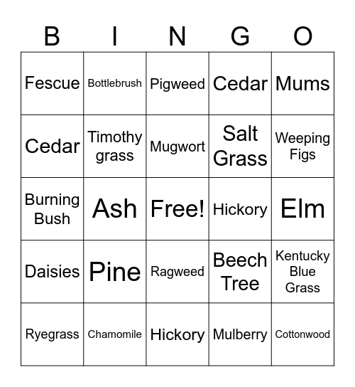 Allergy Season Bingo Card