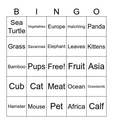 4-H: Pet Pals Bingo Card