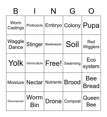 Science Bingo Card