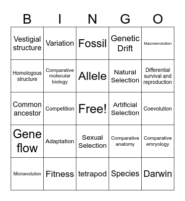 Unit 9 BINGO Card