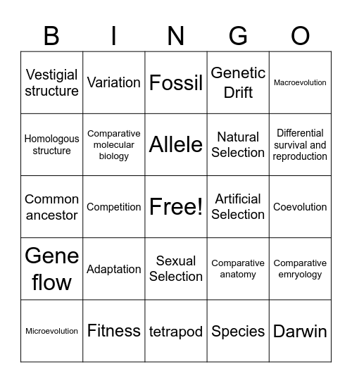 Unit 9 BINGO Card