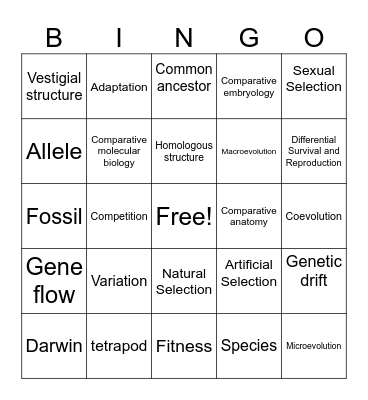 Evolution Bingo Card