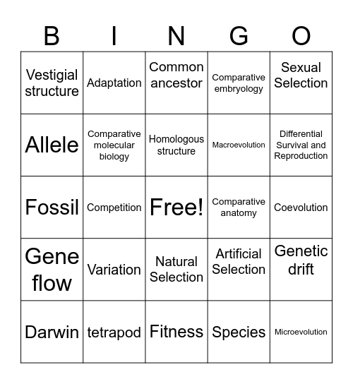 Evolution Bingo Card
