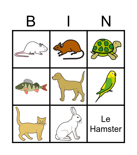 LES ANIMAUX DOMESTIQUES Bingo Card