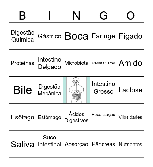 Sistema Digestório Bingo Card