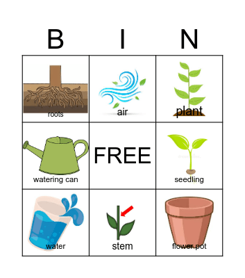 Plants BINGO Card