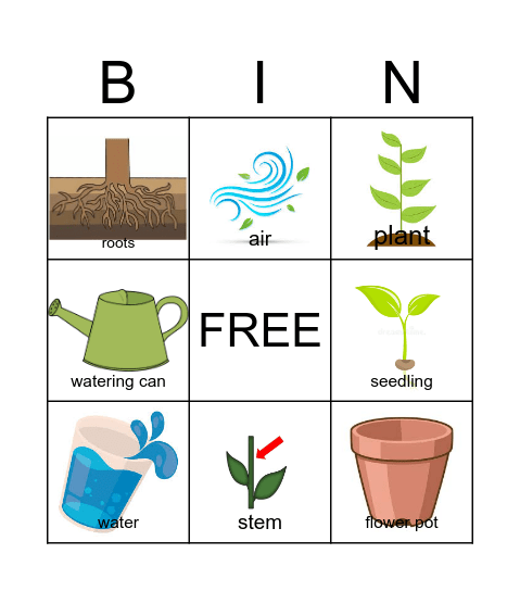 Plants BINGO Card
