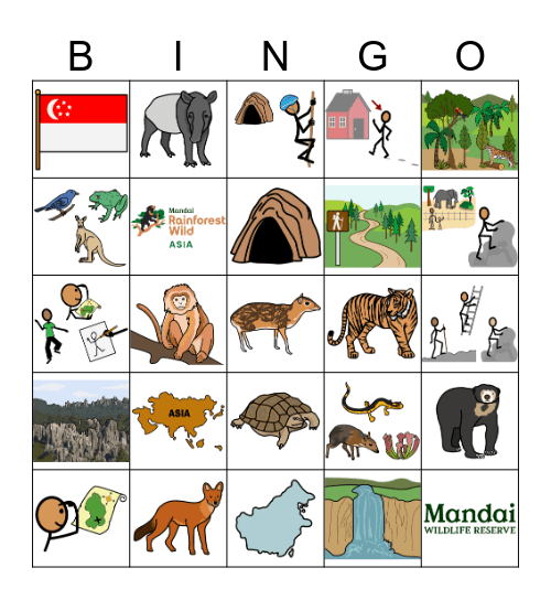 Rainforest Wild Asia Bingo Card