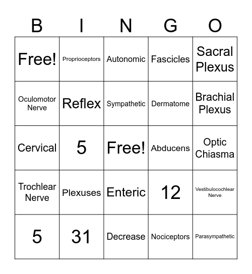 Peripheral Nervous System Bingo Card