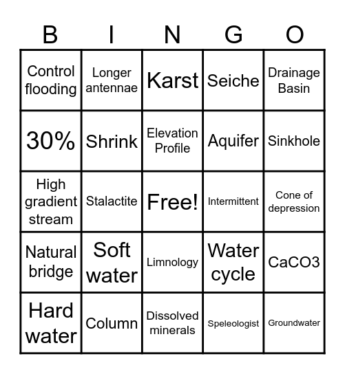 Surface and Ground water Bingo Card