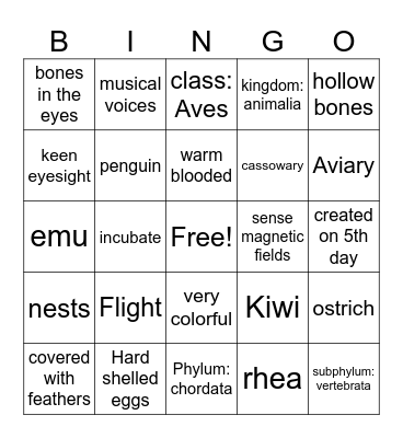 Bird Characteristics Bingo Card