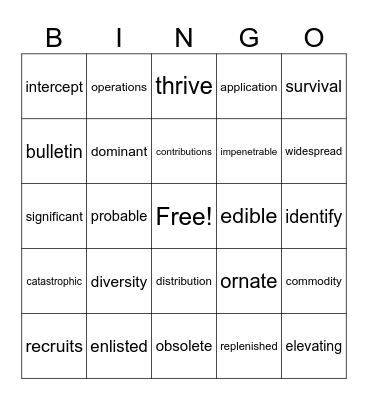 Vocabulary Bingo Card