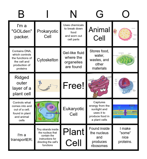 Cells & Organelles Bingo Card