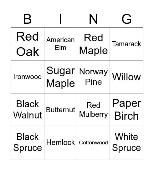 Minnesota Native Trees Bingo Card